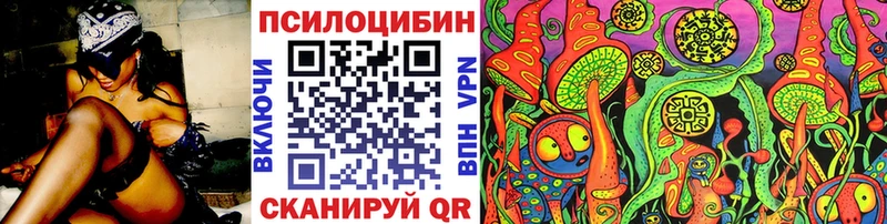 Псилоцибиновые грибы Psilocybine cubensis  наркошоп  Старая Купавна 